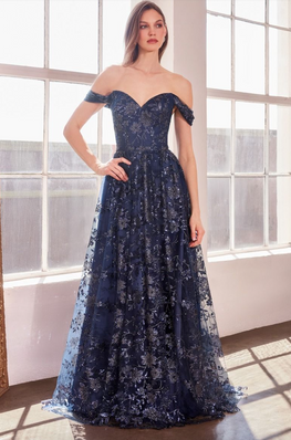 Raph - robe longue en tulle brodée avec bretelles off shoulders