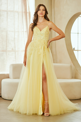 Fred - Robe longue à dos lacé et jupe de tulle