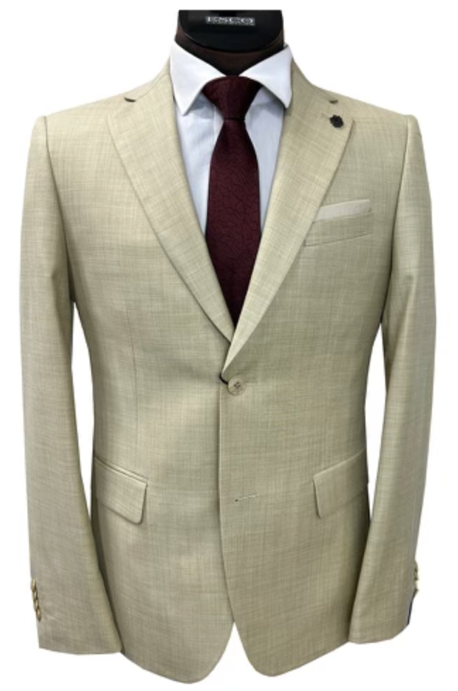 Ensemble veston et pantalon collection PRINTEMPS Ensemble veston et pantalon collection PRINTEMPS